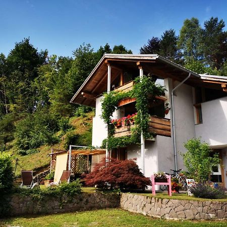 Minavill La Casa Sulle Dolomiti Bed & Breakfast Fiera Di Primiero Bagian luar foto