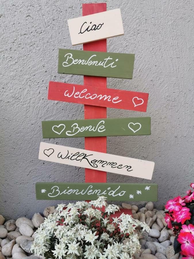 Minavill La Casa Sulle Dolomiti Bed & Breakfast Fiera Di Primiero Bagian luar foto