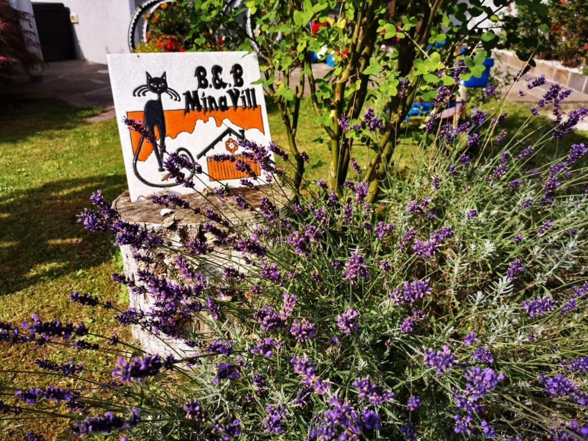 Minavill La Casa Sulle Dolomiti Bed & Breakfast Fiera Di Primiero Bagian luar foto