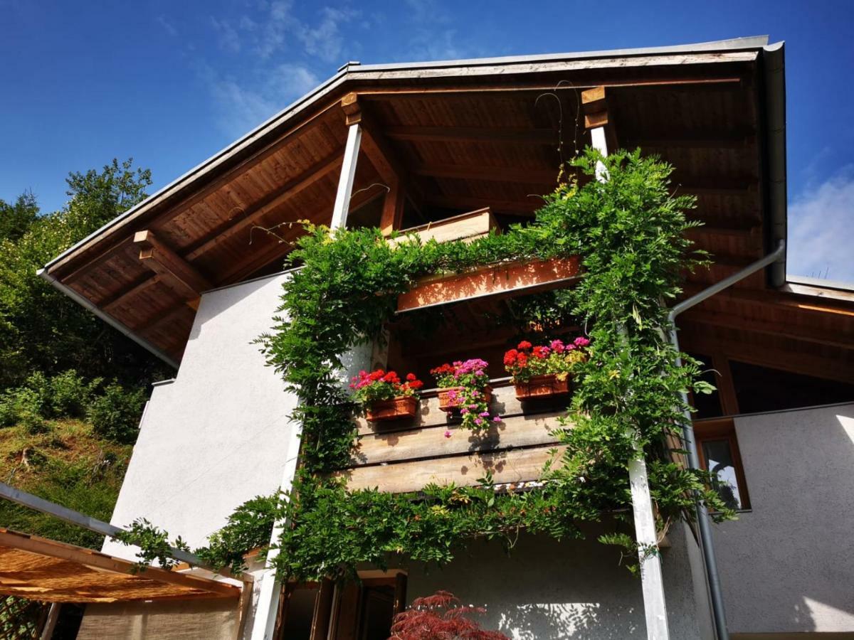 Minavill La Casa Sulle Dolomiti Bed & Breakfast Fiera Di Primiero Bagian luar foto